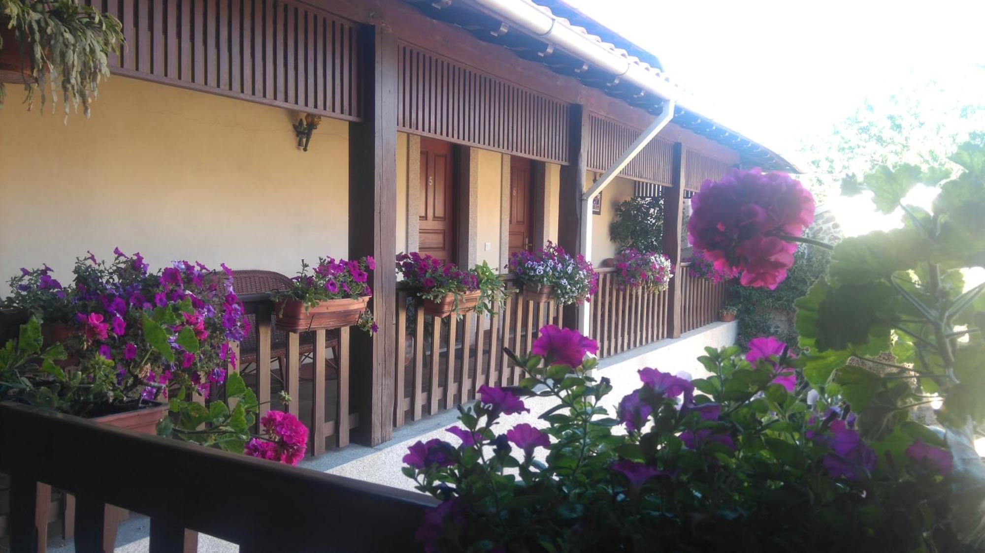 Agroturismo Quinta Dom José Braga Exterior foto